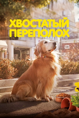 Постер к дораме Хвостатый переполох