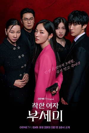 Постер к дораме Госпожа Инкогнито