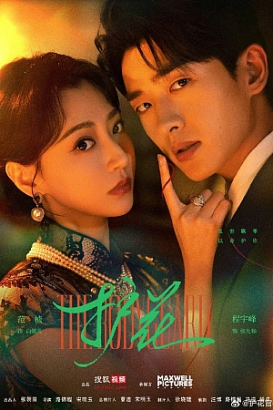 Постер к дораме Телохранитель