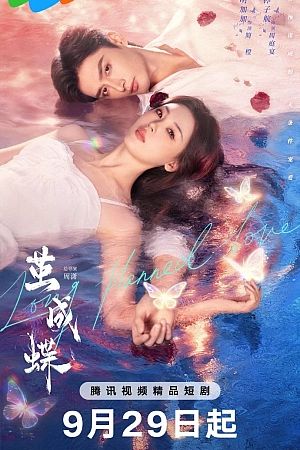 Постер к дораме Спланированная любовь