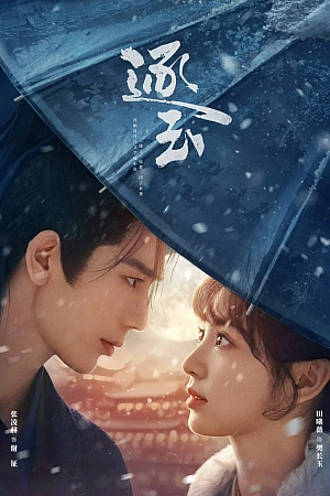 Постер к дораме В погоне за нефритом