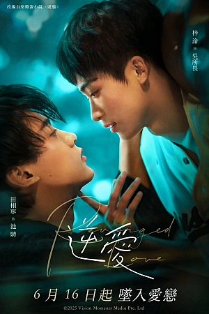 Постер к дораме Любовь из мести