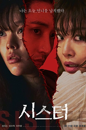 Постер к дораме Сестра