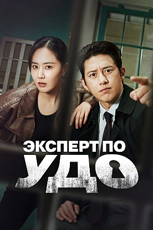 Постер к дораме Эксперт по УДО