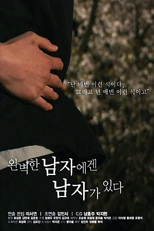 Постер к дораме Идеал